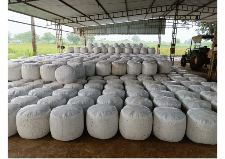 WPS图片打印_Picture 15_20250917152633