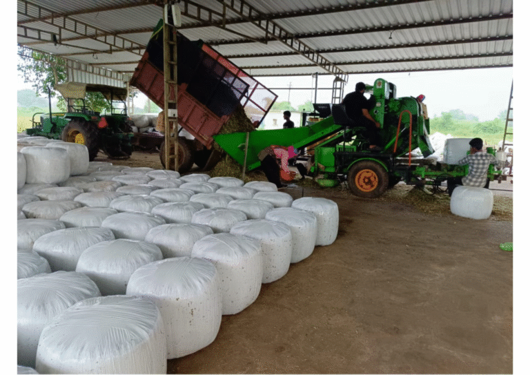 WPS图片打印_Picture 16_20250917152652