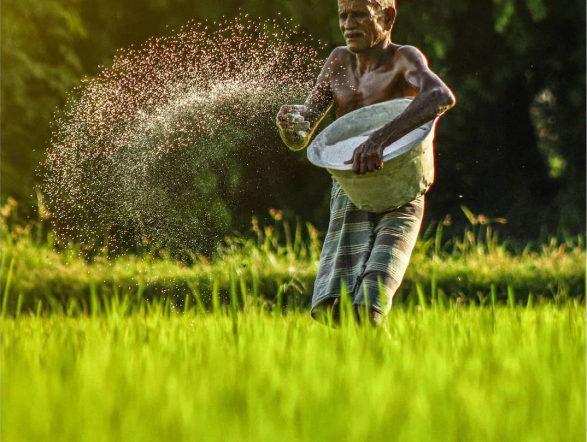 254ff1db7128864fe8f4da0993bd23c2